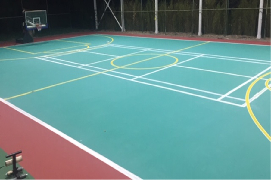 proyecto caucho